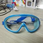 Waterproof Anti Fog Swimming Glasses with Earplugs